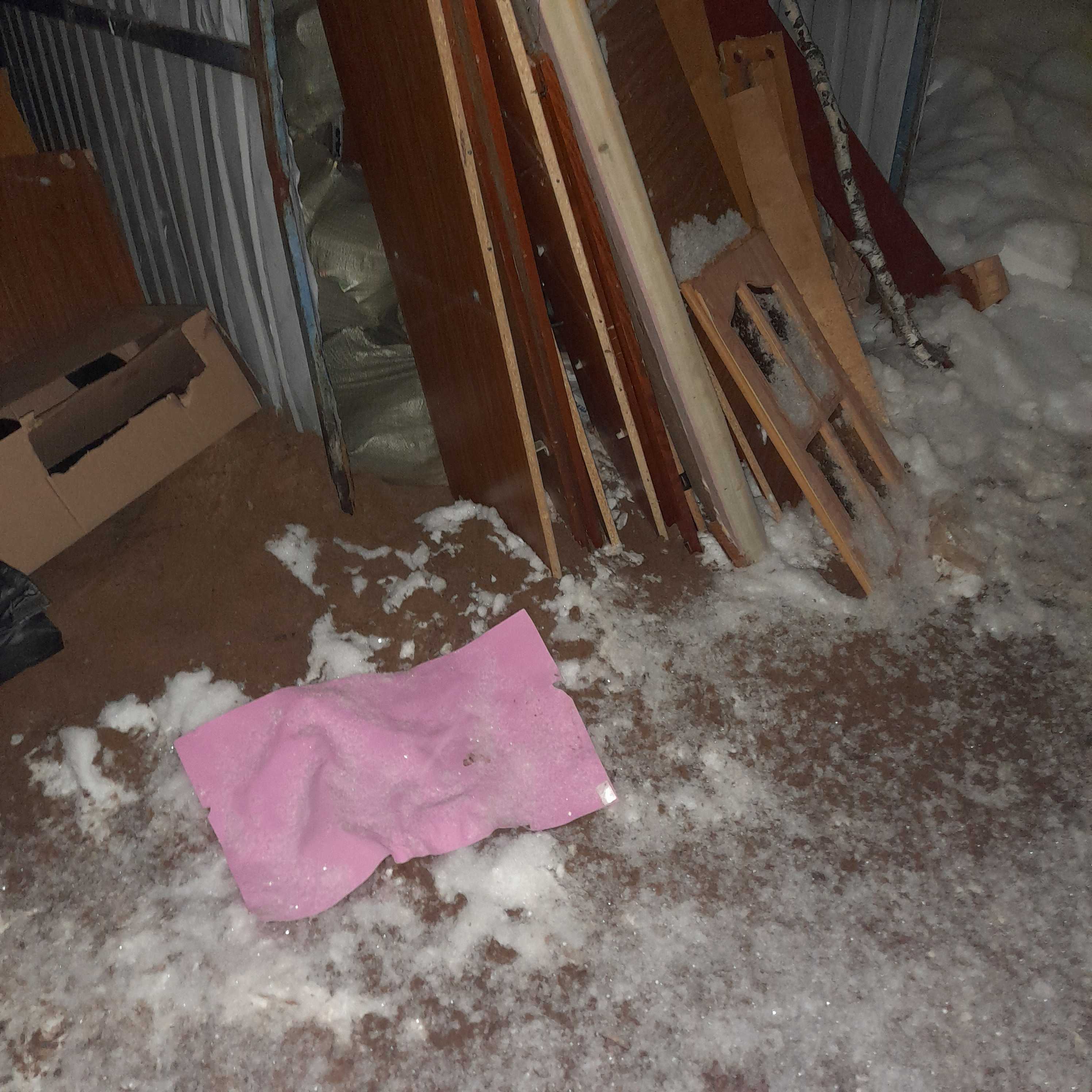 pink kingdom is gonna find you